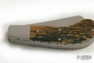 Small Saddlehorn Trapper