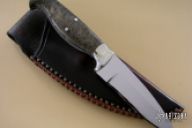 Buckeye Burl Drop Point