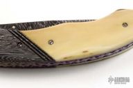 Scrimshaw Mammoth Folder