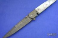 ASP Linerlock Folder S/N 12