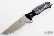 Busse Custom