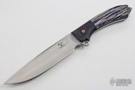 Busse Custom