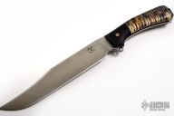 Busse Custom