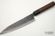 Sasanoha AS - 18.4 cm (Small)