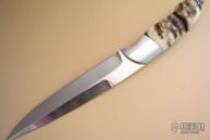 Sheep Horn Mountain Fighter