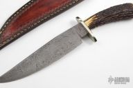 Damascus Bowie