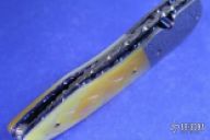 Golden Scale Linerlock