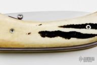 Stag Linerlock Folder