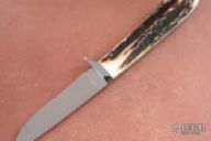 Stag Drop Point Hunter