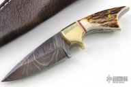 Mini Damascus Fixed Blade