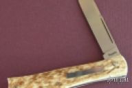 Elk Stag Coke Bottle Slip Joint