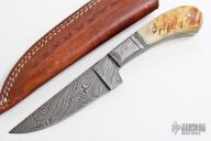Damascus Fixed Blade