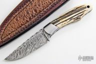 Damascus Drop Point
