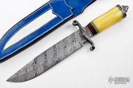 Damascus & Dyed Bone Bowie
