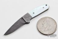 Integral Hunter Mini