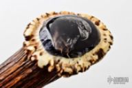 Damascus Eagle Drop Point