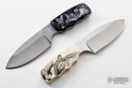 Endangered Florida Creatures Set