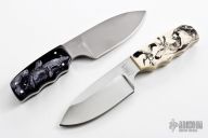 Endangered Florida Creatures Set