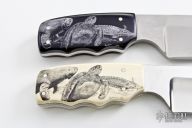 Endangered Florida Creatures Set