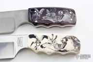 Endangered Florida Creatures Set