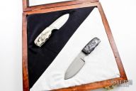 Endangered Florida Creatures Set