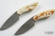 Wart Hog Ivory Mini Camp