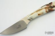 Wart Hog Ivory Mini Skinner