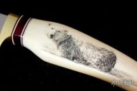 Wilderness Bear Hunter