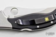 Persian by Ed Schempp