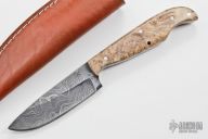 Skinner - Raptor Series - Natural Maple Burl