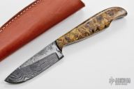 Skinner - Raptor Series - Gold Maple Burl