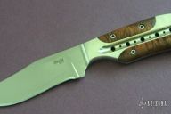 Phoenix Fixed Integral