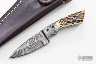 Mini Damascus Fixed Blade