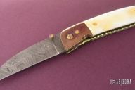 Golden Eye Wharncliffe Folder
