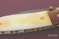 Golden Eye Wharncliffe Folder