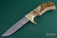 Yearling with Sheep Horn Handle