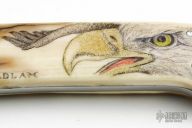 Scrimshaw Fixed Blade