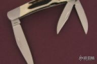 Stag Split Backspring 3 Blade Whittler