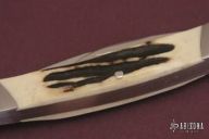 Stag Split Backspring 3 Blade Whittler