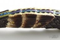 Damascus Bird of Prey Folder