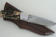 Damascus & Stag Little Hunter