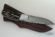 Damascus & Stag Little Hunter