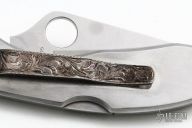 Customized Endura - Wyoming