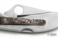 Customized Endura - Montana