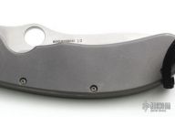 Tim Wegner Design Pro Hunter Framelock (#9)