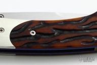 Spearpoint Linerlock Folder