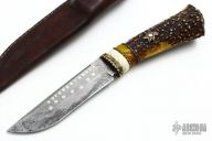 Stag, Amber and Ivory Fixed Blade