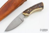 Damascus & Stag Knife
