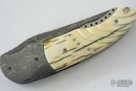 D'Stroy - Assisted Linerlock - Mammoth & Damascus