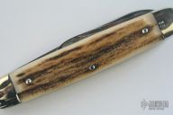 Stag Pen 2 Blade #33